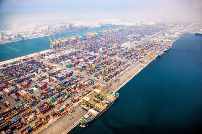 DP World's revenue hits $9.3 billion in H1 2024